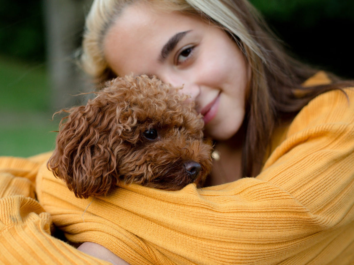 Owner holding her small brown dog close outdoors