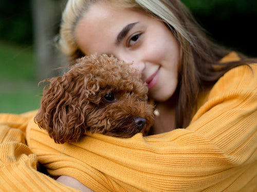 Owner holding her small brown dog close outdoors